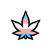 Wood Rocket Weed Trans Pride Leaf Large Pin, Multi Color