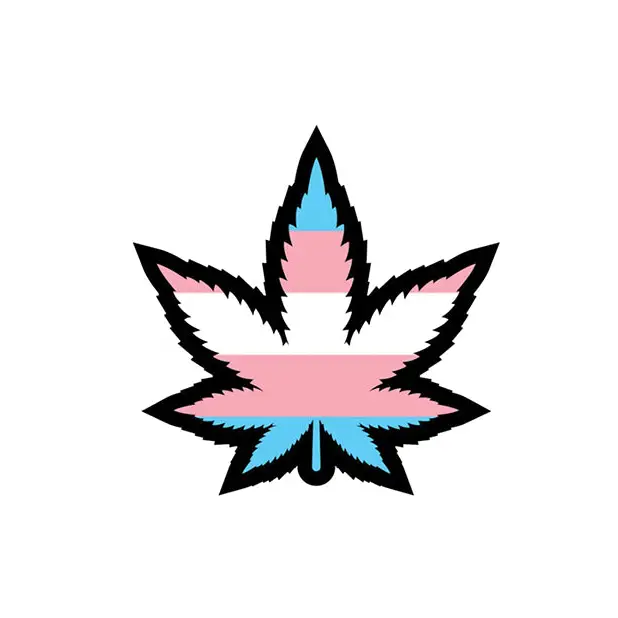 Wood Rocket Weed Trans Pride Leaf Large Pin, Multi Color