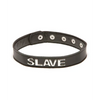 XPlay Talk Dirty to Me Collar - Slave - Bondage Blindfolds & Restraints